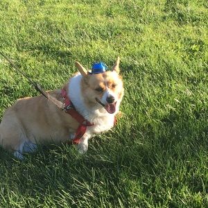 Meet your Posher, Ezequiel